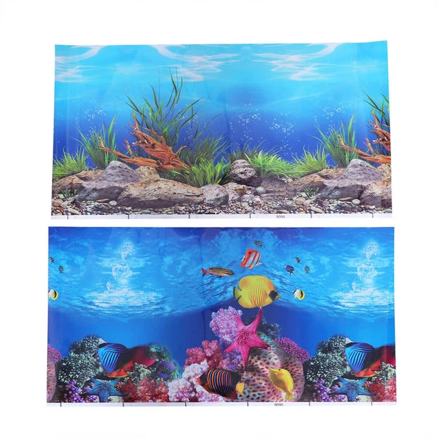 Fish Tank Wallpaper Underwater World Aquarium Backdrop Reptiles Picture