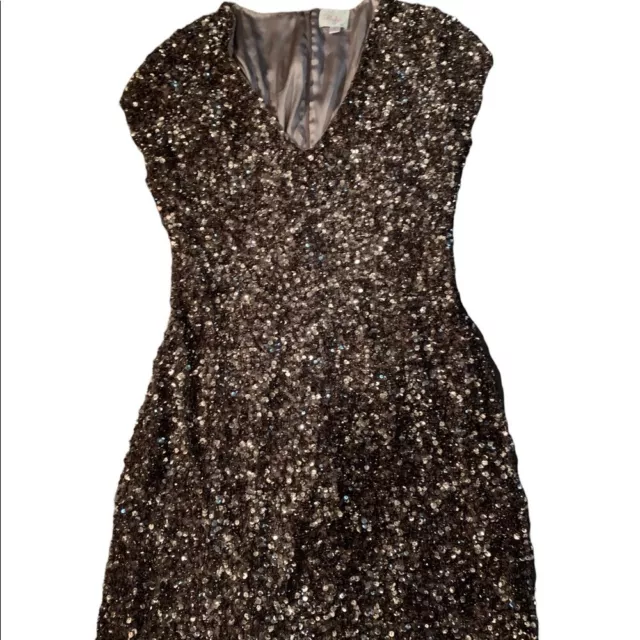 Parker Serena all over sequin dress 2