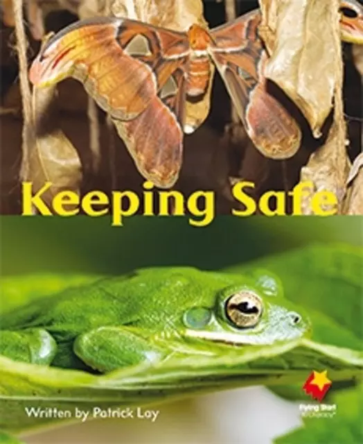 Keeping Safe by Lay (English) Paperback Book