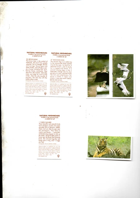 2 Sets Brooke Bond  Tea Cards Natural Neighbours  Single & Double Set Ex Cond