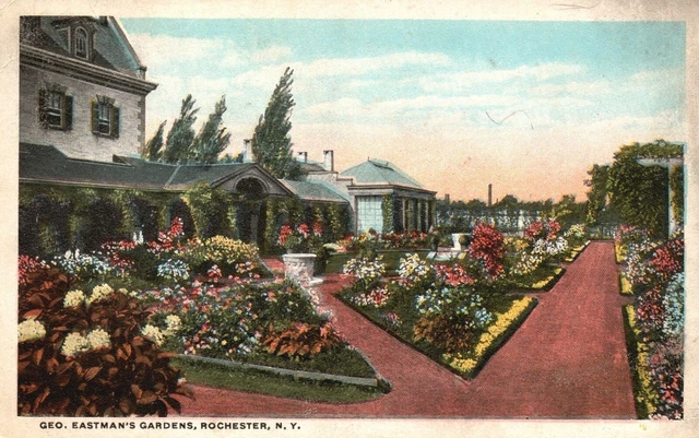 Vintage Postcard 1920's Geo Eastman Gardens Flower Landscape Rochester New York