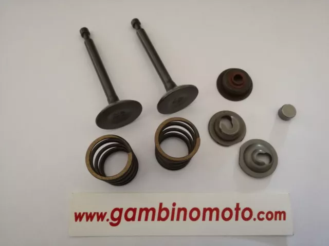 Kit Valvole Assemblate Motore Honda Gx160 - Gx200