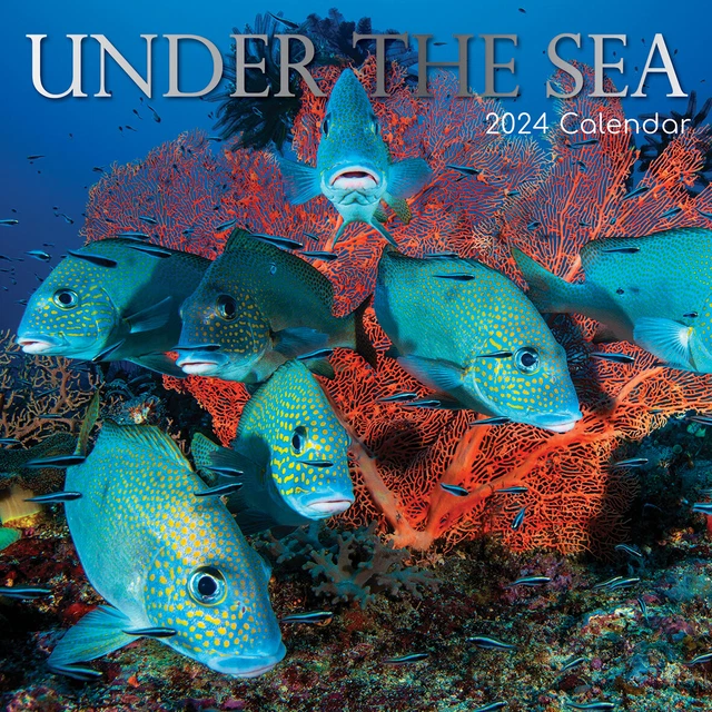 UNDER THE SEA 2024 Square Wall Calendar 16 Month Planner Christmas New