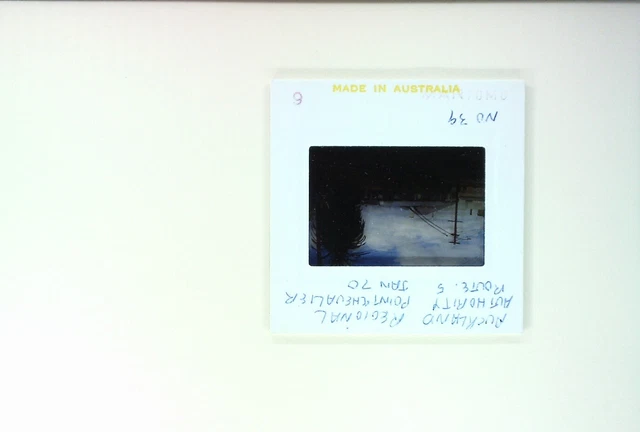 1970 Orig Slide Auckland New Zealand Trolley Bus  39 Point Chevalier 3
