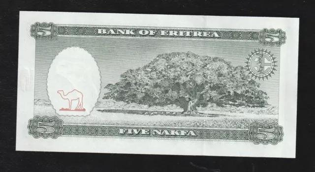 Eritrea 5 Nakfa, 1997, P-2, UNC Banknote, Serie-AC75, First Independent Issue 2