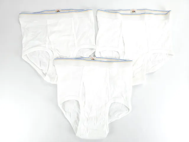 Fruit of the Loom (thru the ages) classic/vintage mens brief, white med (4  pair)