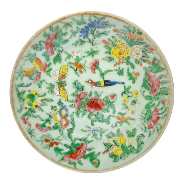 19th CENTURY CHINESE FAMILLE ROSE CELADON SMALL HAND PAINTED PLATE 17.8 CM DIA