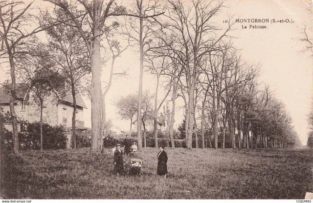 91 - MONTGERON - S07618 - Le Pelouse  - En l'�tat - L1