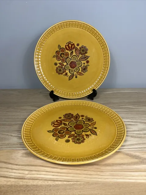 2 x ROYAL WORCESTER PALISSY ‘SIERRA’ 23cm Plates -  Vintage Retro Flowers