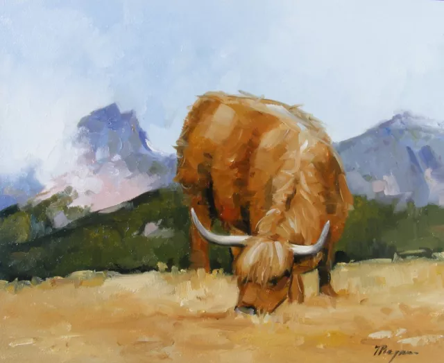 Original Oil painting hand painted art - highland cattle cow - by j payne