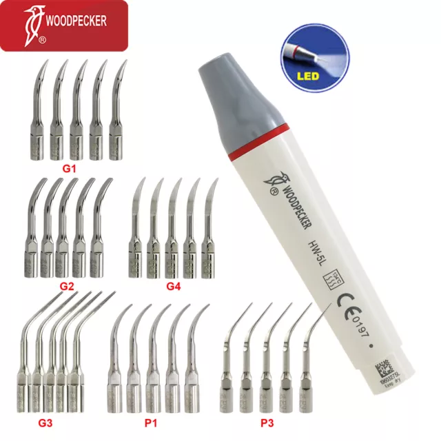 Woodpecker Dental Ultrasonic Scaler LED Handpiece Detachable HW-5L Tips Fits EMS