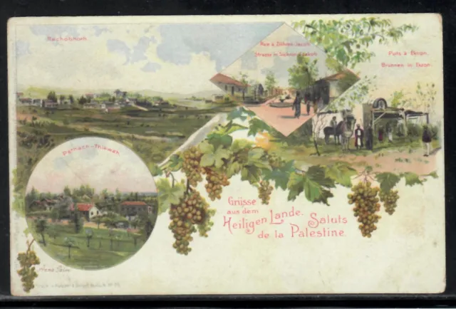 Palestine postcard - Pethach Thikwah Zikhron Ekron Rechobhoth jewish judaica
