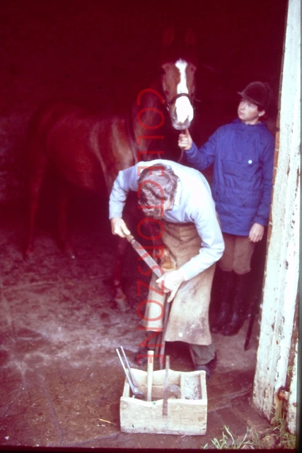 35mm Slide 1983 farrier Shoeing Horse In Stable Lincolnshire Agfa chrome