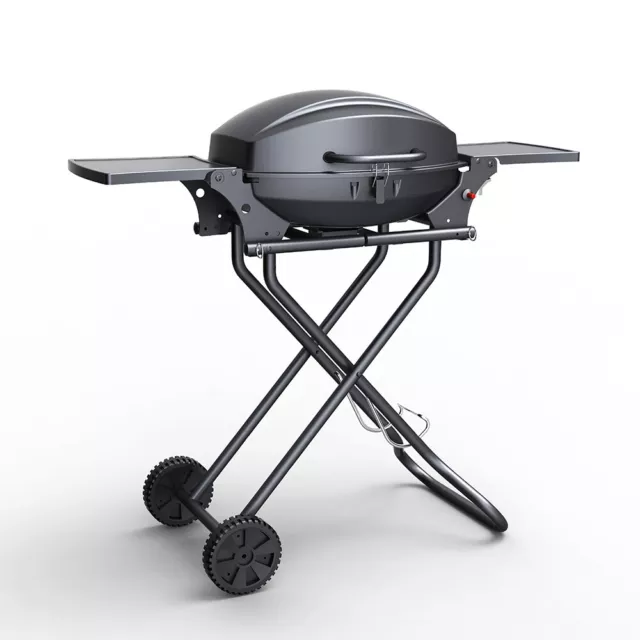 Barbecue BBQ Gas Portable Edelstahl Brenner Grill Rack Bernese De