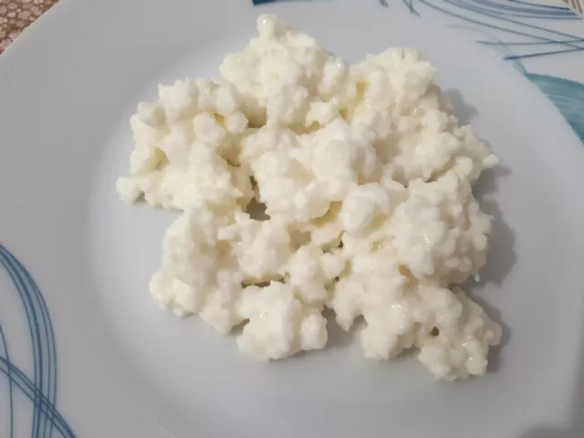 ✔️15 g KEFIR DI LATTE INTERO BIO GRANI PROBIOTICO FERMENTI LATTICI VIVI