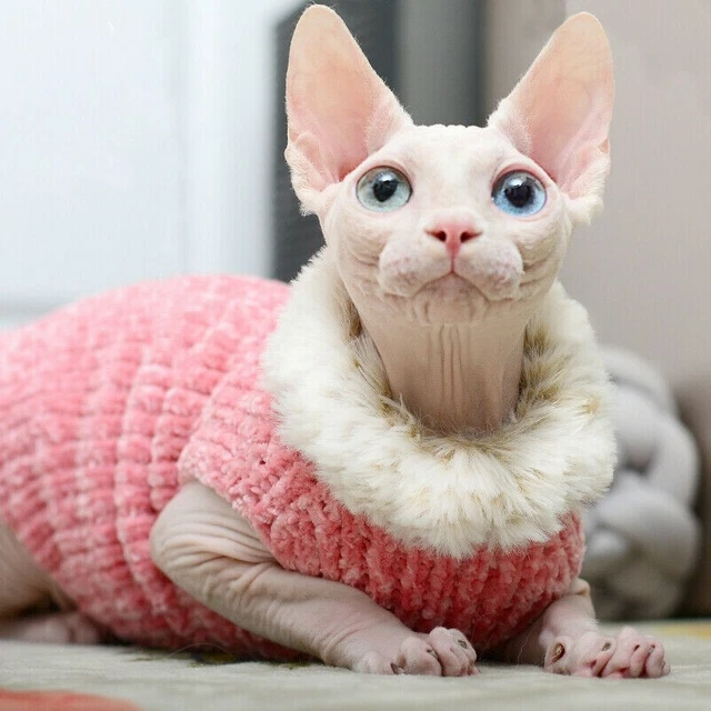 SPHYNX CAT SWEATER Jumper Waistcoat Clothes Faux Fur Pet Costume - Main Image