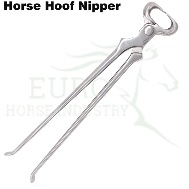 Marteau Fer à Cheval, Brillant Largement Utilisé Maréchal-Ferrant Outil d'Entraînement en Acier Manche en Bois pour Sabot pour Ferrage à Cheval pour Réparation