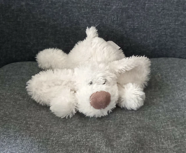 A8-Peluche Doudou Histoire D'ours Chien Cookie beige blanc  HO2310
