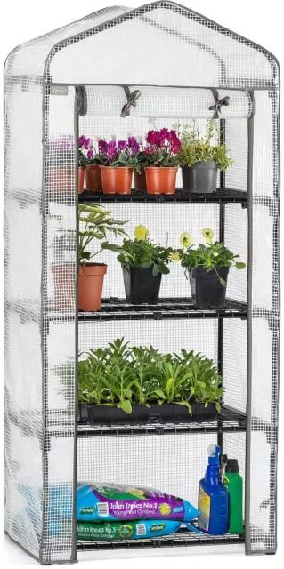 Mini Kunststoff PVC Gewächshaus Outdoor wachsen mit Regalen 4-stufig sonnig bepflanzt