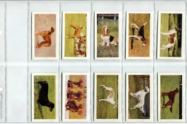 Dogs 1961 Hornimans Tea Cards - Full Set of 48 Cards