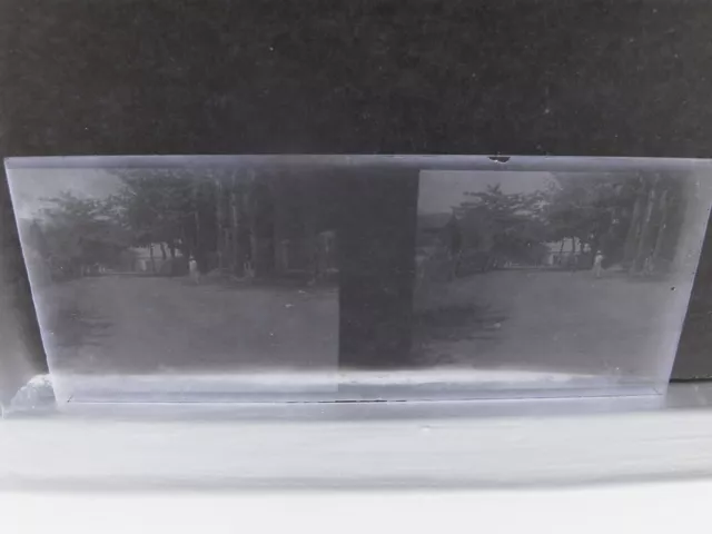 photo STEREO glass plate under wood with character in Africa