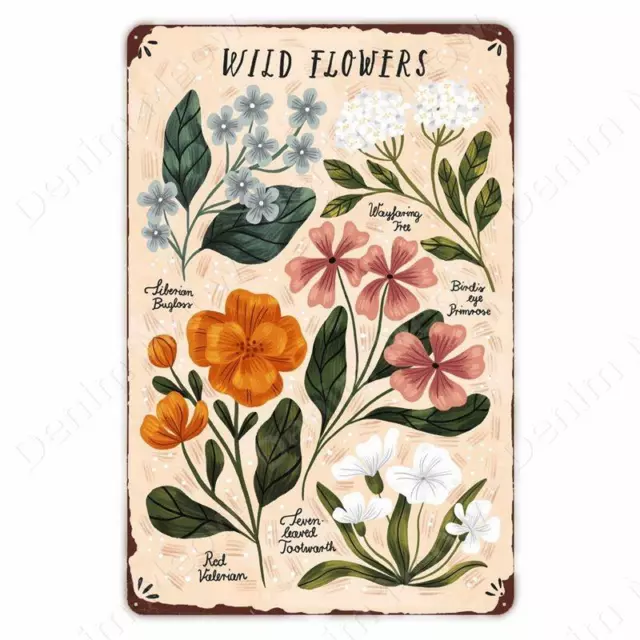 Vintage Metal Tin Sign Herbarium Art Wild Flowers Plant Wall Decor Plaque Poster 3