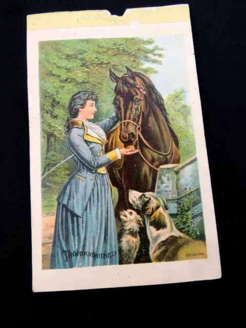 Antique Print Vintage 1880 Chromolithograph Original "Thouroughbred" Horse