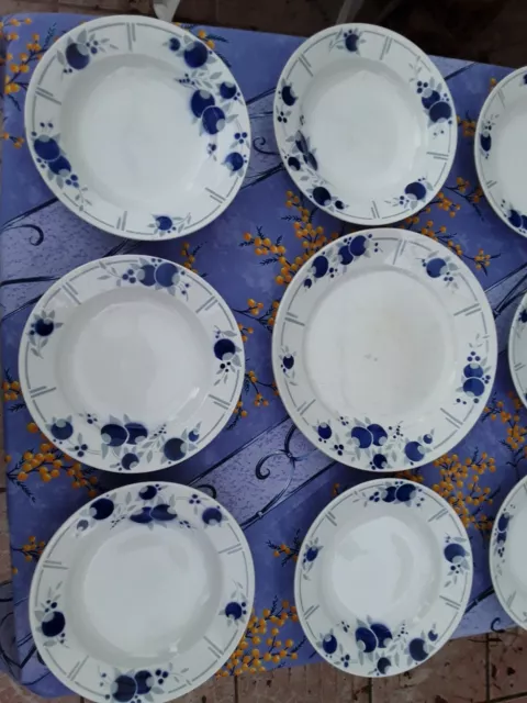 1 lot de  8 assiettes creuses et d'un plat rond St Amand Modèle Vincent france 3