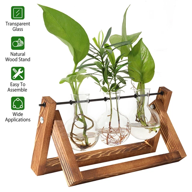 PROPAGATION PLANT STATIONS Terrarium with Wooden Stand Planter 3 Bulb