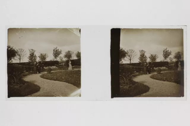 Famille dans le jardin Amateur Photo Stereo Vintage Plaque de verre 