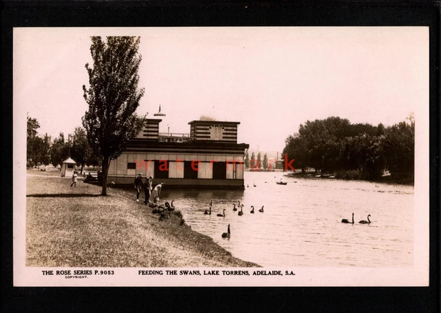 AUSTRALIA ADELAIDE LAKE TORRENS FEEDING THE SWANS Rose Co. RP PC E20C - AU192