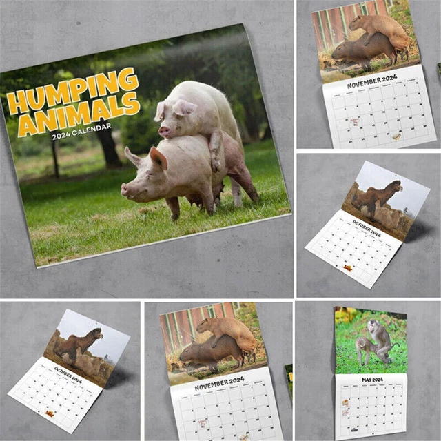 HILARIOUS HUMPING ANIMALS 2024 Calendar Monthly Weekly Planning Wall