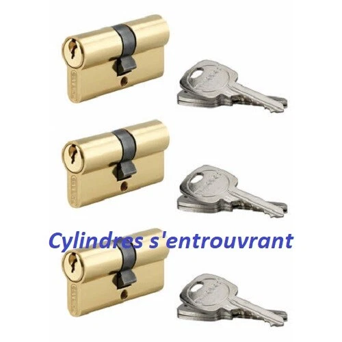 3 Cylindres Serrure 30/30 Laiton S Entrouvrant Avec 9 Cles