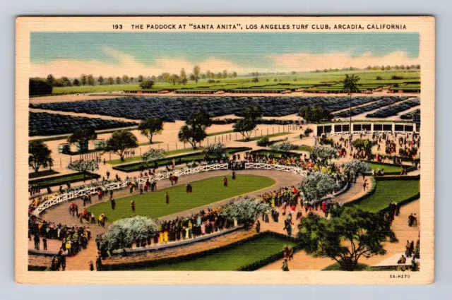 Arcadia CA-California, Aerial Of Santa Anita, Turf Club, Vintage Postcard