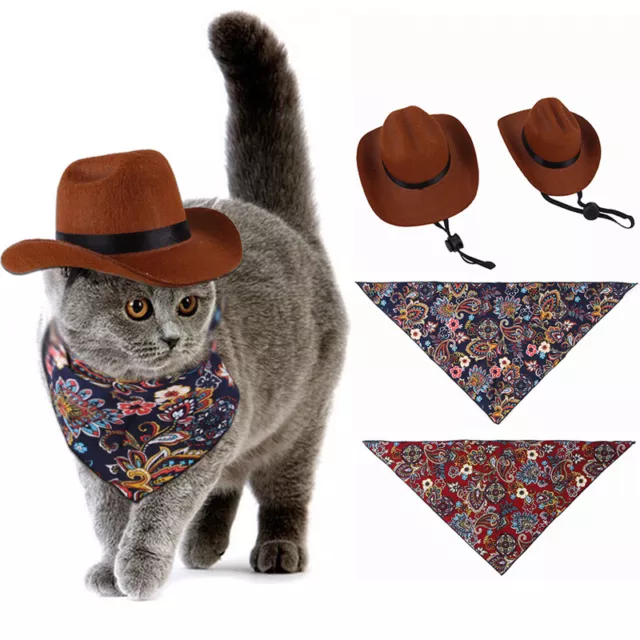 Chapeau Amusant Pour Animaux De Compagnie Chapeau De Cowboy Occidental Pour R