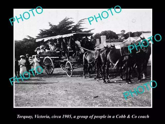 Old Large Historic Photo Of Torquay Victoria Group In The Cobb & Co Coach 1905