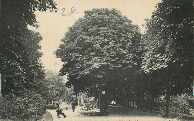 51 CHALONS SUR MARNE jardin du jard allée des marronniers