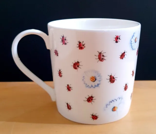 Rose Of England Ladybird And Daisy Floral Fine China Mug Made In Uk