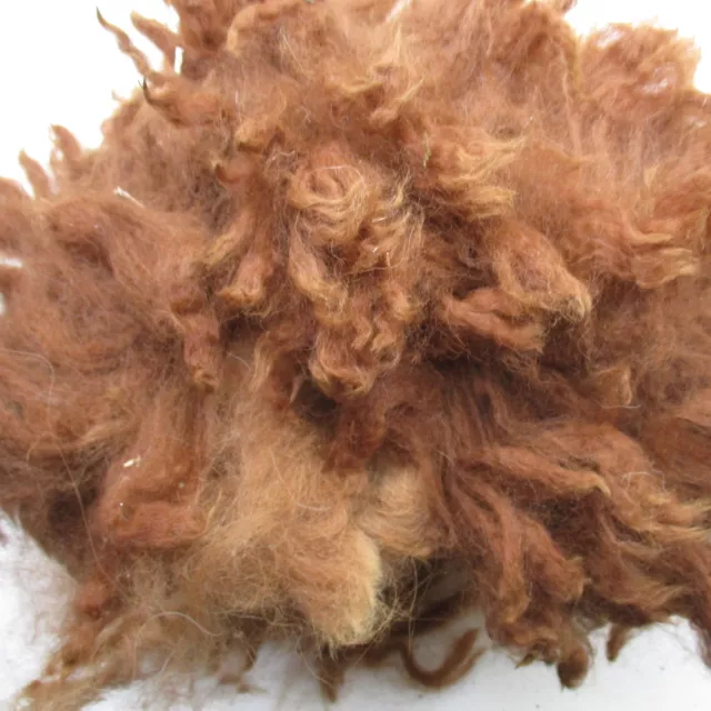 Alpaka braune Faser rohe ungewaschene Wolle 200g