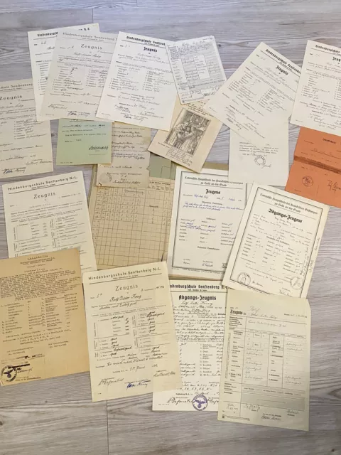 Zeugnis Dokumenten Konvolut Hindenburgschule Senftenberg Impfscheine 1927