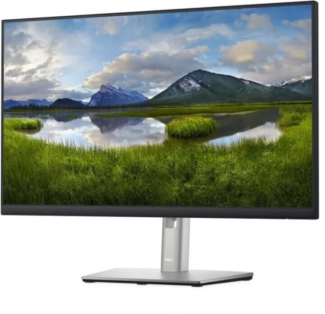 Dell P2422H 24 Zoll FHD LED Monitor IPS Display