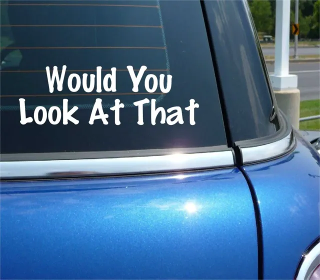 Would You Look At That Decal Sticker Funny Jdm Slammed Stance Car Truck