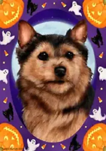 Halloween Garden Flag - Black and Tan Norwich Terrier