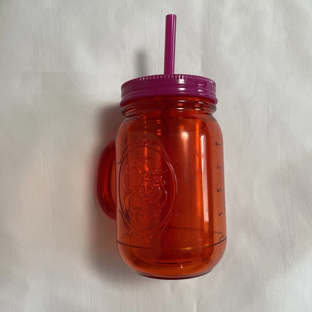 Aladdin 20 oz Insulated Mason Jar Tumbler Red Clear with Purple Lid And Straw
