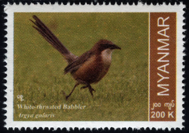 Myanmar Burma 2022 "Einheimische Vogelarten" Burmadrosselhäherling, MiNr neu