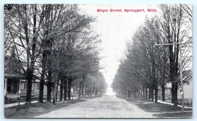SPRINGPORT, Michigan MI ~ MAPLE STREET Scene 1911 Jackson County  Postcard