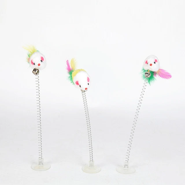 5 Pcs Jouet À Ventouse Jouets Pour Animaux De Compagnie La Plume
