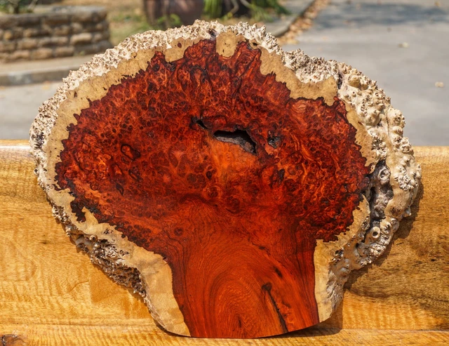 ¡Raro!! Mesa epoxi AMBYNA BURL MAMBER borde vivo hágalo usted mismo losa natural resina de madera
