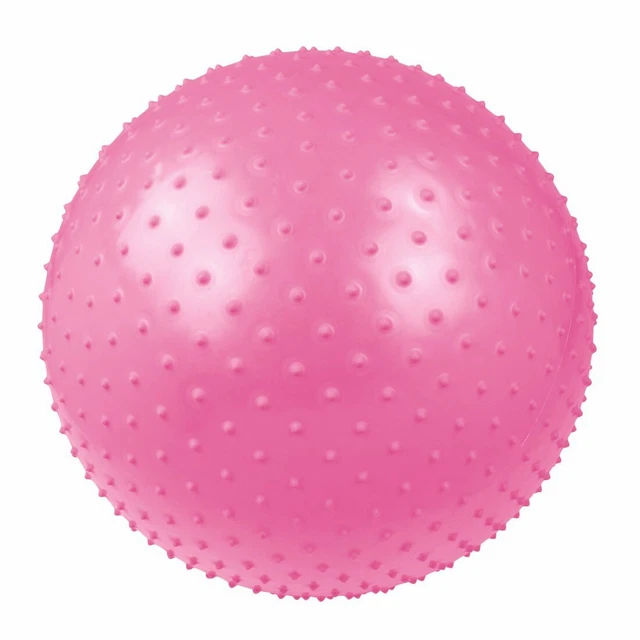 Ballon de massage Ø 55 Balle de gymnastique et fitness + pompe & bol en bois