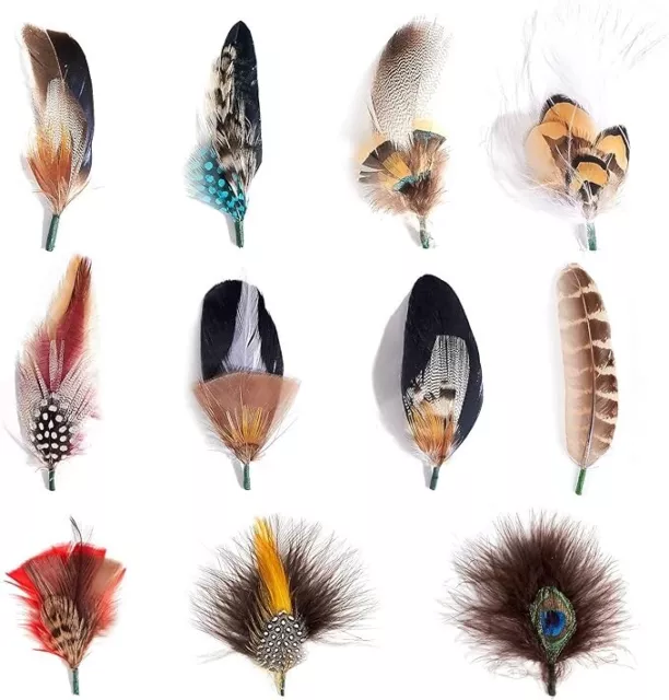 MIX BROWN Hat Feathers Assorted Natural Feather Packs Accessories for Fedora New